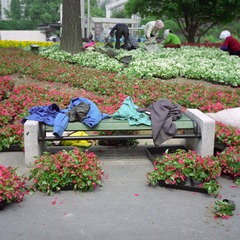 20140505016