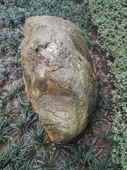 229742