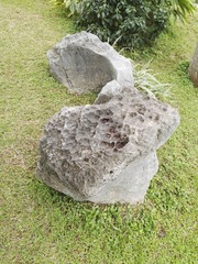 229763