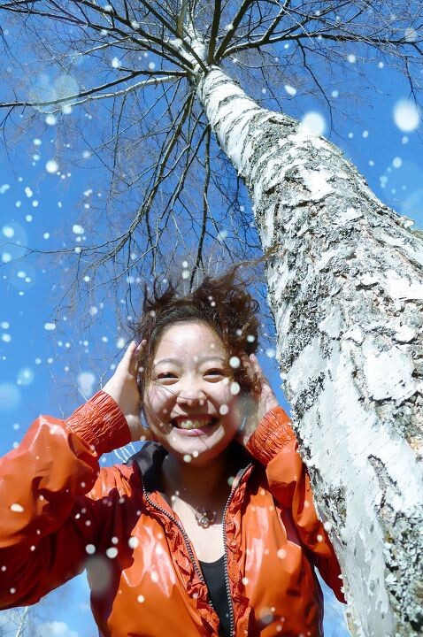 飞雪<br />