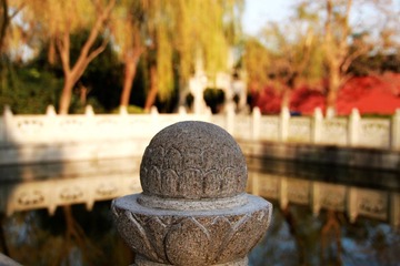 IMG_4779.JPG
