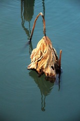 IMG_5043.JPG