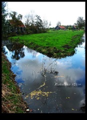 IMG_4855.jpg