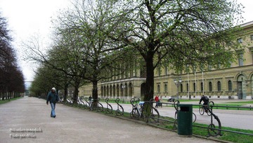 IMG_2419.JPG