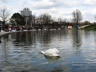 IMG_2533.JPG