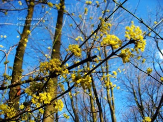 IMG_2610.JPG