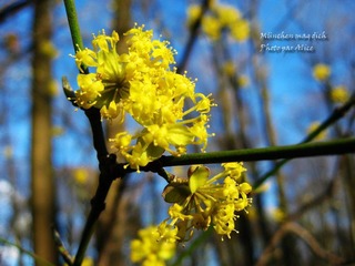 IMG_2611.JPG