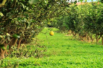 IMG_7351.JPG