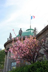 IMG_7746.JPG
