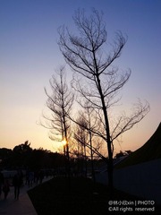 R1054964-2.jpg
