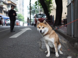 9279