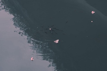 37F85739-CF33-4F9F-9701-BF53793EEAEB/L0/001