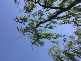 DF1D26AA-36AE-4E64-9D70-5FB9BD6C0DA3/L0/001