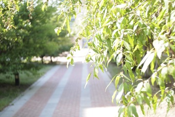 E5E607DF-05B7-476B-83FA-93B70126037B/L0/001