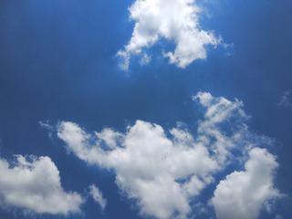 1643617