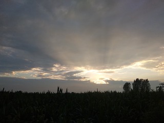 1643595