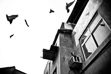 _DSC0080
