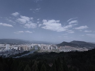 1000012881