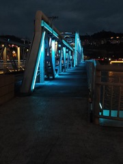 1000011360