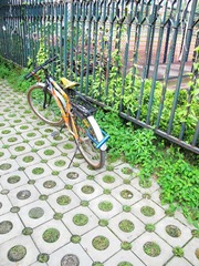 夏天的单车