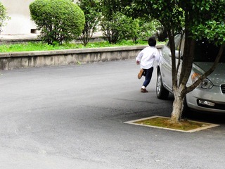 你拍我就跑