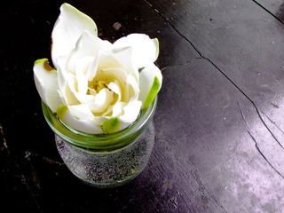 一朵栀子花，一个玻璃瓶，一张旧桌子。
