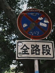 292EAF32-C73E-4D2F-B527-5D29A8E956BA/L0/001