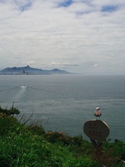 IMGP0814.jpg