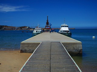 IMGP0825.jpg
