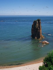 IMGP0787.jpg