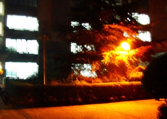DSCI0533