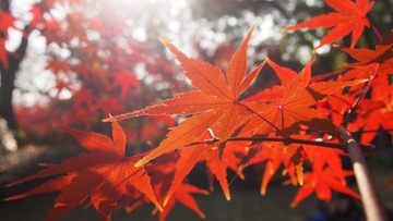 12D78E9F-D0AA-48E5-B1AE-A9C17C660721/L0/001