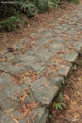 IMG_2012_01_20_1325.JPG