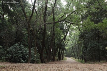 IMG_2012_01_20_1314.JPG