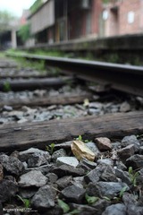 IMG_2012_04_11_2795.JPG