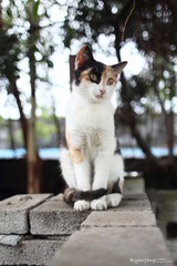 IMG_2012_05_13_0269.JPG