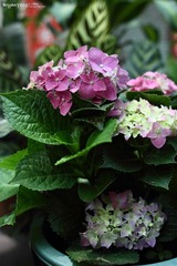 IMG_2012_04_22_0292.JPG