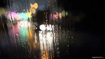 IMG_2012_04_08_0287.JPG