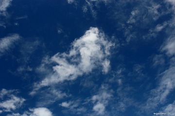 IMG_2012_06_30_1209.JPG