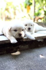 IMG_2012_09_02_1458.JPG.jpg