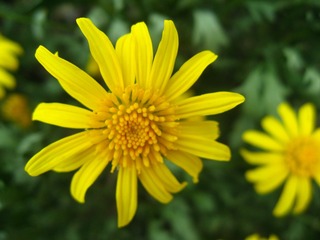 1CEB95F4-AA84-471A-B1FE-27920E700D53/L0/001
