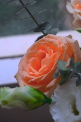7B02813B-C0C1-4D08-9340-20730D680853/L0/001