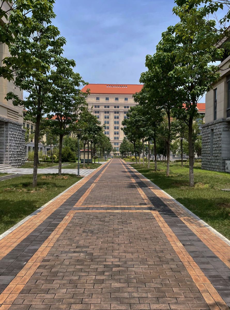 漫步在校园小道