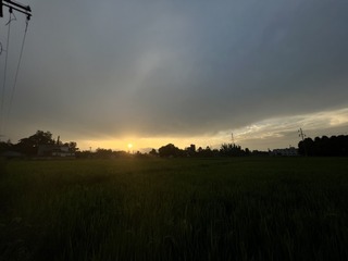 36D86BB1-3752-45D6-8A35-C7B3F854DB37/L0/001
