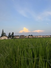 5CA04ECC-C3A7-484A-89B6-CF8D595CEBD0/L0/001