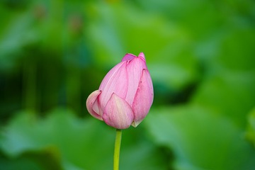 2B2075D9-0A70-4560-AC07-27FEAFE5713F/L0/001