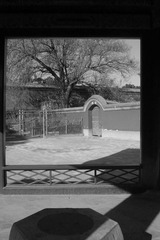 P1090069.JPG