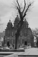 P1090616.JPG