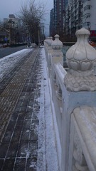 P1110166.jpg
