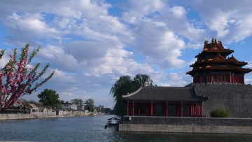 P1090794.jpg